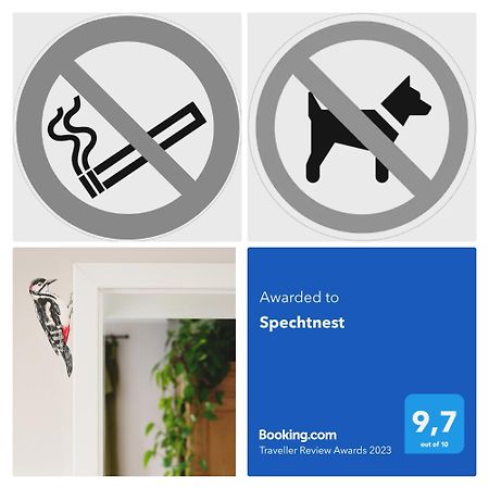 Spechtnest Apartment Naumburg  Ngoại thất bức ảnh